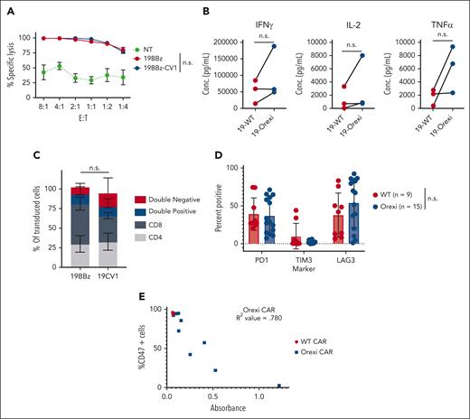 CV1 does not hinder intrinsic CAR effector function. (A) 16 hour tumor lysis by WT and OrexiCAR T cells against CD19+ Raji. Average of 3 donors ± SEM. (B) Cytokine secretion was measured using Luminex after a 24 hour coculture with antigen plus tumor cells. Lines connect matched donors. (C) CD4/8 makeup of transduced cells (CD19–CAR+) was measured via flow cytometry (average of 4 donors). (D) NSG mice that underwent engraftment with Raji tumor cells were treated with WT or OrexiCAR T cells. After 30 days of engraftment, tumors were harvested by intraperitoneal lavage, and infiltrating T cells were analyzed via flow cytometry. (E) Cells isolated from the intraperitoneal cavity were cultured ex vivo and supernatant was analyzed for CV1 secretion, shown as absorbance, via ELISA after 4 days. The same supernatant was used to assess CD47 blocking of Raji tumor cells, shown as the percentage of CD47 cells. R2 value was determined using a standard linear regression analysis. n.s., not significant; SEM, standard error of mean; TNF, tumor necrosis factor.