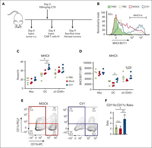 Orexi T cells reprogram the TMEs in immune-competent hosts. (A) C57/BL6 mice underwent engraftment subcutaneously with 2e6 B16F10 tumor cells and, after 4 days, were treated with PBS, mock-transduced, or CV1-transduced PMEL T cells. (B) Tumors were harvested and analyzed for MHCII expression, shown for representative histograms, and quantified in (C) and (D). (E) CD45+ cells from harvested B16 tumors were gated for CD11b vs CD11c expression, representative contour plot shown with quantifications in (F). Statistics were performed using student t test. FMO, fluorescence minus one; PBS, phosphate-buffered saline.