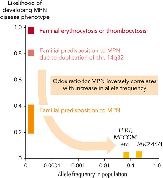 Frequencies of germline variants and the associated likelihood for developing a phenotype. Graph depicting the frequencies of germline gene mutations in the general population (x-axis) and the likelihood that they will promote the manifestation of MPN or MPN-like disease (y-axis). The highest penetrance (close to 100%) is observed in rare families with erythrocytosis or thrombocytosis caused by mutations in a single gene that are most frequently inherited as a Mendelian trait with autosomal dominant transmission (EPOR, EPO, THPO, and MPL, etc), or autosomal recessive transmission (Chuvash polycythemia due to mutations in VHL). Rare familial cases with inherited predisposition to MPN require the acquisition of somatic disease driver mutations for disease manifestation, most frequently JAK2-p.V617F, or mutations in CALR or MPL. The predisposing germline mutations are inherited as autosomal dominant traits with reduced penetrance, in most cases ∼20% to 40%. Inherited predisposition to MPN due duplication of chr.14q32 is an exception, reaching higher penetrance around 80%. Finally, common polymorphisms found at high frequencies in the general populations located in, for example, the JAK2, MECOM, and TERT genes, are associated with a much weaker predisposing effect and also require the acquisition of somatic disease driver mutations for MPN.