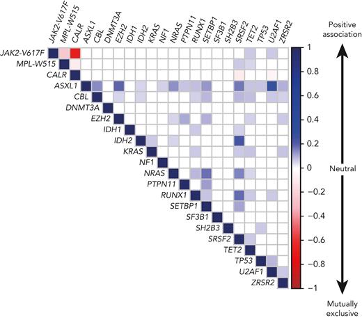 Correlation plot showing the likelihood of co-occurrence of gene mutations in the same patient. The association between gene mutations is based on the compilation of data from 5 published cohorts comprising a total of 3002 MPN patients, including 1497 ET, 535 PV, and 970 PMF or secondary MF patients.16,17,79,80 The color code and numbers on the y-axis represent the Pearson R-coefficient, which indicates the strength of positive or negative associations between 2 gene mutations. Only the significant associations are depicted (P-value < .01).