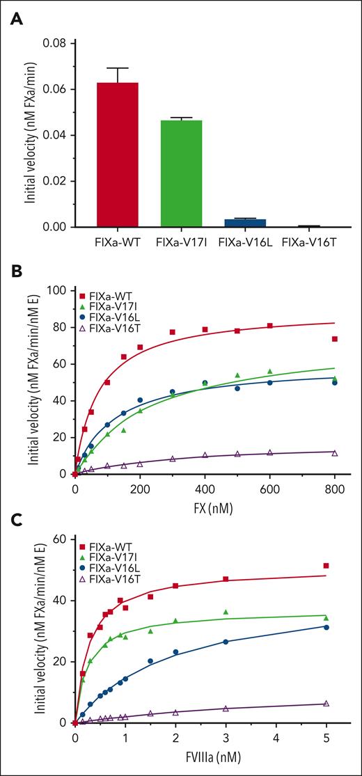 FX activation by FIXa in the presence or absence of FVIIIa. FX activation by FIXa-WT or FIXa variants was assessed as described in “Methods.” (A) FX activation (300 nM) by 20 nM FIXa and 20 μM PCPS without FVIIIa. Data are presented as mean ± standard deviation (SD) (n = 3). (B) Enzyme kinetics of FX activation by 0.2 nM FIXa, 40 nM FVIIIa, and 20 μM PCPS. Solid lines represent the best fit of the data to the Michaelis-Menten equation (R2 ≥ 0.97). (C) FVIIIa binding to 0.2 nM FIXa was kinetically assessed using varying concentrations of FVIIIa, PCPS (20 μM), and FX (200 nM). The solid lines are the fittings of a quadratic binding equation (R2 ≥ 0.97). Data are representative of 3 independent experiments. The fitted parameters are listed in Table 2. E, enzyme.