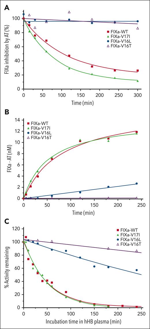 Inhibition of FIXa by AT. (A) Inhibition of FIXa-WT and its variants by AT in the purified system. FIXa (500 nM) was incubated with AT (2 μM) for different periods of time, and the residual amidolytic activity was measured by the addition of SpecIXa. The residual activity is shown as a percentage of the activity corresponding to time 0, which was fitted to an exponential decay function. (B) Inhibition kinetics of FIXa-WT and its variants by AT were measured using an ELISA assay that detects FIXa-AT formation after the addition of FIXa-WT or FIXa variants (25 nM) to human HB (hHB) plasma. The solid lines represent the fit (R2 ≥ 0.97) of the points for a single exponential increase. (C) Residual activity of FIXa was determined after 1 nM FIXa-WT, -V17I, -V16L, or 30 nM -V16T were incubated in human HB plasma for different periods of time. The residual activity is shown as a percentage of the activity corresponding to time 0, which was fitted to an exponential decay function. Each curve is representative of 3 independent experiments. The fitted parameters are listed in Table 2.
