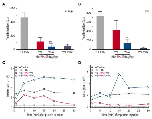 In vivo hemostatic function of FIXa-WT and FIXa-V16L variants. (A) Tail clip assay was performed on HB mice injected with FIXa-WT or FIXa-V16L (50 μg/kg, n = 3-7) 5 minutes before injury, and blood loss (μL) was collected for 10 minutes. (B) The TVT assay was performed on HB mice injected with FIXa-WT or FIX-V16L (50 μg/kg, n = 7) 30 seconds before injury, and blood loss (μL) was collected for 60 minutes. Data are presented as mean ± SD. Adjusted P values were obtained using an ANOVA test followed by a Tukey test. ∗∗P < .0001 or n.s. represent FIXa-V16L vs FIXa-WT infused animals. (C-D) Graphs showing the median for AUC for CD41 or for fibrin vs time curve in HB mice injected with FIXa-WT or FIXa-V16L (10 μg/kg), or PBS. Each time point represents the median ± SD of 2 to 3 thrombi from 2 to 3 mice. (panels A-D) HB or WT mice infused with PBS served as controls.