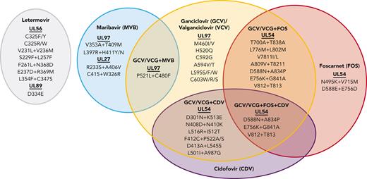 Venn diagram showing the most common mutations conferring resistance to CMV antivirals. Drugs for treatment of CMV are labeled in each oval, with the abbreviations listed in parentheses. The proteins (bold and underlined) and specific amino acid mutations commonly found to confer drug resistance are shown below the drug names. Mutations associated with resistance to more than 1 drug are shown in the overlap between multiple ovals. Figure adapted from Chou.63