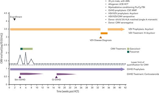 Case 2: antiviral prophylaxis, treatment, and other relevant clinical data of a 33-year-old man with AML undergoing cord blood transplantation for disseminated VZV infection. AML, acute myeloid leukemia; CSP, cerebrospinal; Cy, cyclophosphamide; Flu, fludarabine.