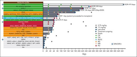 Disease response over time in eftoza plus venetoclax combination cohorts. Response per the International Working Group. Disease progression is assessed per European LeukemiaNet. Samples were assessed for DR4/DR5 expression via flow cytometry. DOR, duration of response; MR, morphologic relapse; PD, progressive disease; RD, resistant disease.