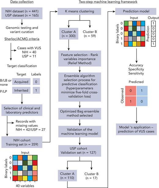 Schematic workflow of development of the 2-step machine-learning model. The model was developed with (1) collection of clinical and laboratory data routinely available for patients with BMF from 2 independent cohorts; (2) curation of germ line variants identified by genetic testing in order to assign a label (target classification) for each patient correspondent to BMF etiology: acquired or inherited. All patients identified with pathogenic and likely pathogenic variants were labeled as inherited cases. Patients without germ line variants or with only benign/likely benign variants were labeled as acquired cases. Patients with VUS were not included in the training data set; (3) data preparation; (4) K-means clustering of cases from the training cohort; (5) classification machine-learning algorithm optimized for the cluster with the highest number of cases (cluster A); and (6) validation of the model in an external data set. The predictive model was next applied to predict BMF etiology in patients with VUS.