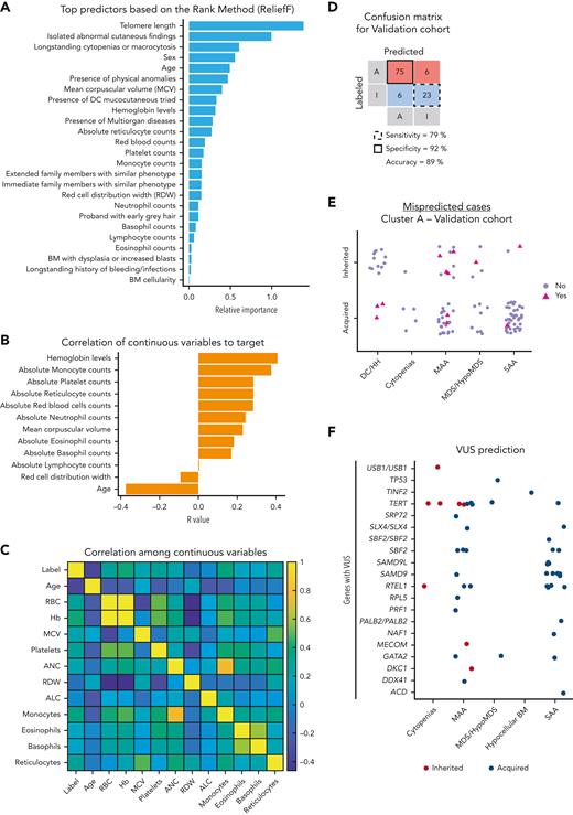Classification model for prediction of BMF etiology in cluster A. (A) Top predictors ranked by importance by the ReliefF method. Feature selection ranked 27 variables by importance and the top 25 variables were considered important predictors for the model. (B) Correlation coefficient (R) between a target of prediction (categorical) and continuous variables. R was calculated and plotted in order of a variable’s importance. (C) A heatmap showing correlation among continuous variables. (D) Confusion matrix with prediction results for the validation cohort. The model was validated in the USP data set. Cases labeled or predicted as acquired are represented by “A,” whereas cases labeled or predicted as inherited are represented by “I.” Model sensitivity represents the ability to correctly predict acquired cases, whereas model specificity is the ability of the model to correctly predict inherited cases. (E) Cases from the cluster A of the USP data set that were misclassified by the model. Cases labeled as acquired or inherited that were correctly predicted by the model are represented with purple circles. Cases labeled as acquired that were predicted as inherited, or labeled as inherited and predicted as acquired are indicated with pink triangles. (F) Prediction results of VUS cases. Results are shown according to clinical diagnosis and mutated genes observed in VUS cases. Germ line VUS were mostly found in TERT (n = 10), SAMD9 or SAMD9L (n = 10), RTEL1 (n = 8), SBF2 (n = 6), and GATA2 (n = 3). Cases predicted as inherited or acquired by the model are represented by red and blue circles, respectively. Of note, SAMD9/L variants are often VUSs because in silico tools do not predict the pathogenicity of gain-of-function variants and many cases are de novo without previous family history. ALC, absolute lymphocyte count; ANC, absolute neutrophil count; BM, bone marrow; Hb, hemoglobin level (g/dL); MCV, mean corpuscular volume.