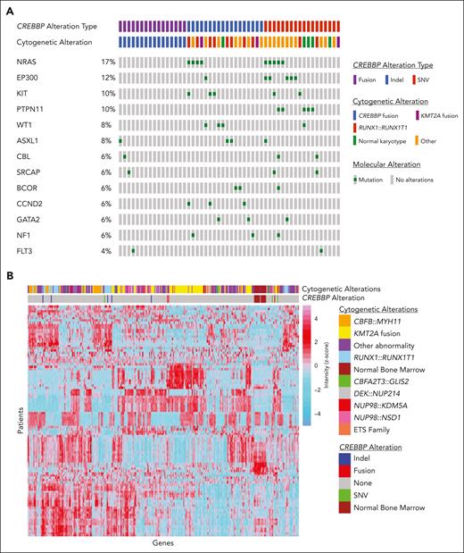 Molecular and transcriptome profiles based on CREBBP status. (A) Cytomolecular status and cooccurring mutational profile of patients based on CREBBP alterations, (B) Unsupervised clustering was performed across the entire transcriptome patient data set (n = 1079). Variance stabilizing transformation was performed (R function, vst), and scaled values were used to calculate the variance for each gene across all samples (R function, var). The genes were sorted based on variance, and the top 100 genes with highest variance were clustered (R function, ward.D2) and presented visually in a heatmap generated using pheatmap function in R.