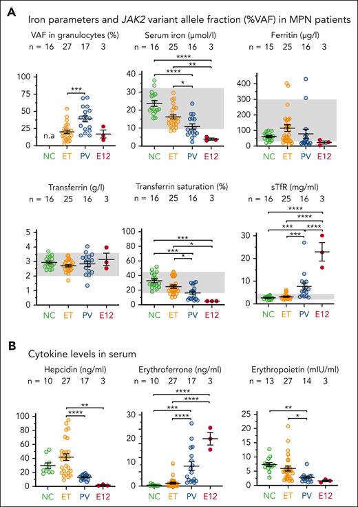 Status of iron parameters at the time of diagnosis in the serum of patients with MPN having mutations in JAK2 gene. (A) Iron parameters in the serum of patients with MPN at the time of diagnosis. (B) Levels of regulatory cytokines involved in iron metabolism measured in the serum of patients with MPN at the time of diagnosis. All data are presented as mean ± standard error of the mean. Two-way analyses of variance (ANOVAs) with subsequent Tukey test were used for multiple-group comparisons. ∗P < .05; ∗∗P < .01; ∗∗∗P < .001; ∗∗∗∗P < .0001. NC, normal control; sTfR, soluble transferrin receptor, VAF, variant allele frequency.