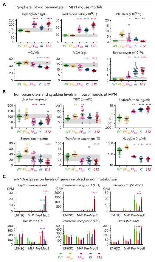 Iron parameters in MPN mouse models with mutations in JAK2 gene. (A) Blood cell parameters of different MPN mouse models. (B) Iron parameters and cytokine levels in serum. Note that logarithmic scales are used for iron regulatory cytokines (erythroferrone and hepcidin). (C) RNA sequencing–derived mRNA expression levels of genes involved in iron homeostasis in hematopoietic progenitors. All data are presented as mean ± standard error of the mean. Two-way ANOVAs with subsequent Tukey or Dunnett test were used for multiple-group comparisons. ∗P < .05; ∗∗P < .01; ∗∗∗P < .001; ∗∗∗∗P < .0001. MkPs, megakaryocyte progenitors.