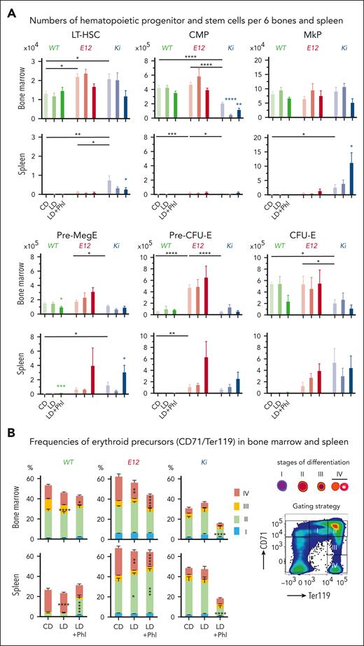 Iron-depleted MPN mice show accumulation of megakaryocyte-committed progenitors in the spleen. (A) Analysis of hematopoietic progenitor frequencies in the BM and spleen at terminal workup. Groups of 4 to 8 mice per genotype and treatment were analyzed. (B) Analysis of erythroid maturation. Frequencies of the erythroid maturation stages in the BM and spleen are shown for individual genotypes (n = 4-8 mice per genotype and treatment). All data are presented as mean ± standard error of the mean. Two-way ANOVAs with subsequent Dunnett posttest were used for multiple-group comparisons. ∗P < .05; ∗∗P < .01; ∗∗∗P < .001; ∗∗∗∗P < .0001. CFU-E, colony-forming unit erythroid.