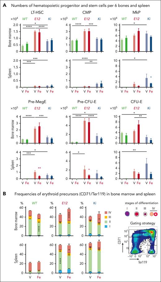 Effects of parenteral iron injections on hematopoietic progenitor and stem cells at terminal workup. (A) Bar graphs show frequencies of HSPCs in the BM and spleen (n = 5-8 mice per group). (B) Analysis of erythroid maturation (n = 5-8 mice per group). All data are presented as mean ± standard error of the mean. Unpaired 2-tailed Mann-Whitney test (A) or two-way ANOVAs with Dunnett (B) posttest were used. ∗P < .05; ∗∗P < .01; ∗∗∗∗P < .0001.