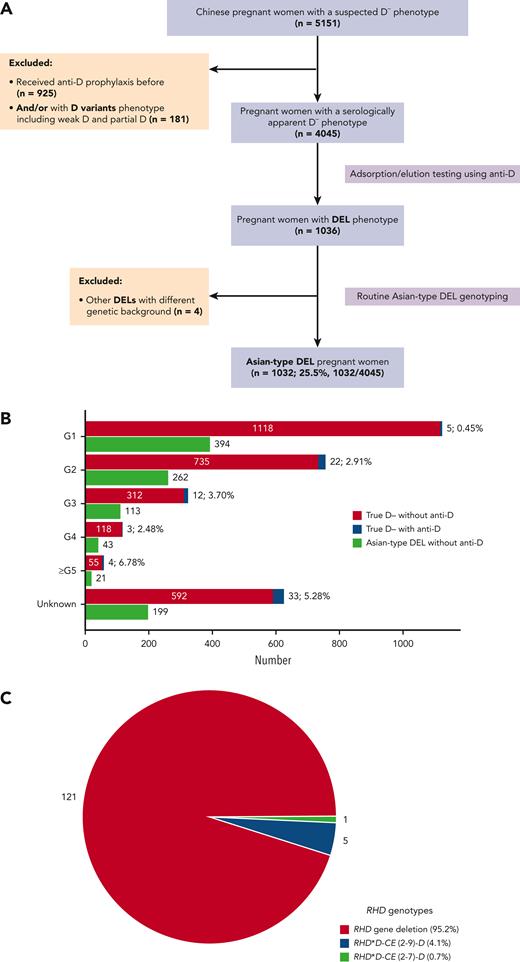 Detection of alloanti-D in the pregnant women with true D– and Asian-type DEL phenotypes. (A) Flow diagram of enrollment of the pregnant women with serologic D– phenotype. (B) The numbers and percentages of pregnant women, according to the gestational time (G1 to ≥G5), were identified with alloanti-D in the true D– and Asian-type DEL groups. (C) The RHD genotypes of 127 patients who developed alloanti-D. The percentages of RHD gene variants, including deletion and 2 nonfunctional alleles accounting for the true D– phenotype rather than Asian-type DEL, were shown. The gestations with D+ fetus were not prospectively confirmed because >95% of Chinese women with true D– or women with Asian-type DEL carry a D+ fetus.