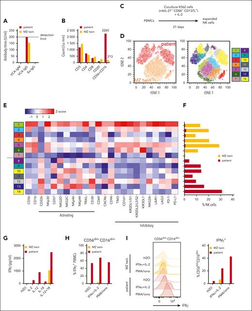 Patient with SMBA and CAEBV disease progressing to lethal HLH shows expansion of hyperinflammatory memory NK cells absent in her MZ twin. (A) Titers of reactive immunoglobulin G (IgG) antibodies against EBV viral capsid antigen and early antibody (Ea) antigens in sera from patient and MZ twin 6 months after referral. (B) CD3+, CD4+, CD8+, and CD56+CD16 lymphocyte counts from the patient and her twin at 6 months after referral. (C) Procedure for in vitro expansion of NK cells from PBMCs. (D) t-distributed stochastic neighbor embedding (t-SNE) clustering of expanded NK cells from the patient and her MZ twin based on the expression of 24 NK cell activating and inhibitory receptors. Clusters labeled by donor (red, patient and orange, MZ twin) (left), and phenograph of further subpopulations (right), are shown. (E) Surface expression of NK cell receptors in each phenograph subpopulation as a heat map of z scores of the mean fluorescence intensity of each receptor. (F) Frequency of NK cells from the MZ twin and patient in each phenograph subpopulation. (G) Concentration of IFN-γ produced by PBMCs after stimulation with IL-2 (80 IU/mL), IL-12 (100 μg/mL), IL-18 (100 μg/mL), or IL-12 with IL-18. (H) Percentage of CD56dimCD16dim NK cells among the total IFN-γ+ PBMCs from the patient and her MZ twin when unstimulated (H2O), or when stimulated with IFN-α (1000 IU/mL) + IL-2 or PMA (phorbol 12-myristate 13-acetate; 5 ng/mL)/ionomycin (iono; 1 μg/mL). (I) Histogram of intracellular IFN-γ staining among CD56dimCD16dim NK cells from the patient and her MZ twin when unstimulated (H2O) or stimulated with IFNa + IL-2 or PMA/ionomycin, normalized to the mode of cell counts (left) and percentage of cells gated IFN-γ+ among CD56dimCD16dim NK cells (right) are shown. Data are shown from single replicates due to the limited amount of primary sample.