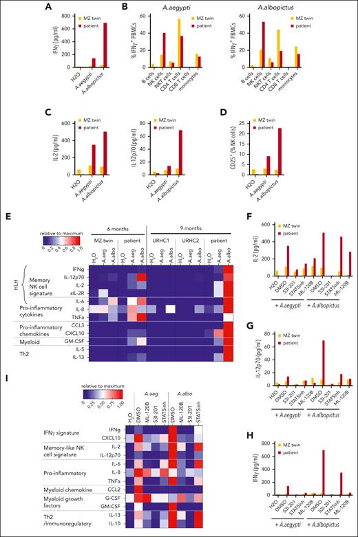 A albopictus SGE glands induce proinflammatory cytokine production by PBMCs from patients with CAEBV disease, which can be suppressed by STAT3. (A) Concentration of IFN-γ in the supernatant of PBMCs from the patient and her MZ twin after 16-hour stimulation with SGE from A aegypti (A. aeg) or A albopictus (A. albo) (25 μg/mL). (B) Percentage of each leukocyte population among IFN-γ+ PBMCs from the patient and her MZ twin stained after 4-hour stimulation with SGE from A aegypti or A albopictus. (C) Concentrations of IL-2 and IL-12 in the supernatant of PBMCs from the patient and her MZ twin after 16-hour stimulation with SGE from A aegypti or A albopictus. (D) Expression of CD25 in NK cells from the patient and her MZ twin after 16-hour stimulation with SGE from A aegypti or A albopictus. (E) Heat maps showing relative concentrations of IFN-γ, IL-12p70, IL-2, soluble IL-2R (sIL-2R), IL-6, IL-8, tumor necrosis factor α (TNFα), CCL3, CXCL10, granulocyte-monocyte colony-stimulating factor (GM-CSF), IL-5, and IL-13 after 16-hour stimulation with SGE from A aegypti or A albopictus, from the patient and her MZ twin at 6 months after referral (left), and patient and 2 unrelated healthy controls (URHCs) at 9 months after referral (right). Data are presented as a heat map scaled relative to the maximum concentration of each cytokine. Concentrations of IL-2 (F), IL-12 (G), and IFN-γ (H) in the supernatants of PBMCs from the patient and her MZ twin, preincubated with S3I-201 (200 μM), STAT5 inhibitor (200 μM), or ML-120B (10 μM), and then stimulated with Aedes SGEs for 16 hours. (I) Relative concentrations of cytokines in the supernatant of patient PBMCs preincubated with S3I-201, STAT5 inhibitor, or ML-120B; then stimulated with Aedes SGEs for 16 hours. Data are presented as a heat map, scaled relative to the maximum concentration of each cytokine. Data are shown from single replicates due to the limited amount of primary sample. DMSO, dimethyl sulfoxide.