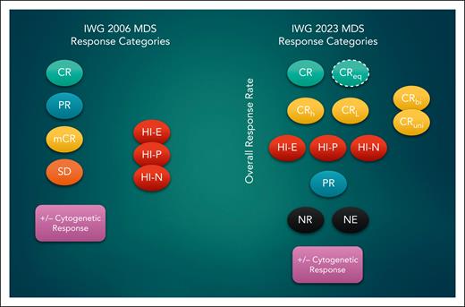 Response categories in the IWG 2006 and 2023 consensus criteria. CRbi, CR with bilineage recovery; CReq, CR equivalent; CRL, CR with limited count recovery; CRuni, CR with unilineage recovery; HI, hematologic improvement; HI-E, HI-erythroid; HI-N, HI neutrophil; HI-P, HI platelet; NR, no response; NE, not evaluable; PR, partial remission; SD, stable disease.