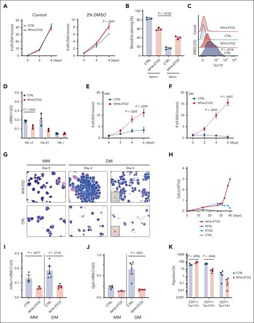 NFIA-ETO2 blocks in vitro terminal differentiation of MEL and primary murine EBs. (A-C) NFIA-ETO2 expression (compared with vector-transduced cells) slightly increased proliferation (A) and the number of benzidine-positive cells (B) and reduced Ter119 surface expression on MEL cells grown for 4 days in 2% DMSO (C). (D) NFIA-ETO2–expressing MEL cells expressed significantly lower Hbα1 and Hbβ1 mRNA level than vector control-transduced cells. (E-F) NFIA-ETO2–expressing BM-derived mouse EBs proliferated significantly faster than vector-transduced control cells (CTRL) over 6 days in MM (E) or in DM (F) (n = 4). (G) Representative images of Wright-Giemsa-stained cytospin preparations from NFIA-ETO2–expressing primary mouse BM-derived EBs (top) compared with vector-transduced control cells (bottom). The left panels show EBs in MM (day 0), the middle panel EBs after 2 days in DM, and the right panel EBs after 4 days in DM. The small insert shows a reddish cell pellet in CTRL cells, whereas the pellet of NFIA-ETO2–expressing cells appeared white. Images were recorded with a 60× objective using a Nikon-TI. Scale bar, 50 μm. (H) NFIA-ETO2–expressing, FL-derived (E14.5) EBs continued proliferating, whereas cells overexpressing ETO2 started to decrease after 5 weeks of culture in MM. NFIA- and CTRL vector (pMSCV-GFP)–expressing cells could not be expanded. Data represent 1 out of 2 independent experiments. (I-J) NFIA-ETO2–expressing BM-derived EBs expressed lower levels of Hbα1 mRNA (I) and Gypa mRNA (J) than CTRL cells grown in MM (n = 3) and 24 hours in DM (n = 5), as assessed via qRT-PCR. (K) CD71 and Ter119 surface expression (in % of cells) on NFIA-ETO2– and CTRL, BM-derived EBs after 6 days in DM (n = 4). Values are presented as individual points; bar graphs represent the mean value of independent biological replicates (n); error bars are standard error of the mean. Statistical significances in was tested with paired two-tailed t tests.