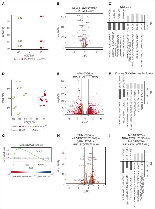 Reduced expression of master regulators of erythroid differentiation in NFIA-ETO2+ MEL cells and primary EBs. (A) PCA of the gene expression signatures of NFIA-ETO2–expressing MEL cells compared with CTRL cells grown for 2 days in 2% DMSO. Each point represents 1 sample, colored for NFIA-ETO2 (red) or CTRLs (olive). (B) Volcano plot showing DEGs from the NFIA-ETO2 and CTRL MEL cells grown for 2 days in 2% DMSO (FDR <0.05; logFC >±1.5 black lines). Red and orange points represent statistically significant dysregulated genes (FDR < 0.05; logFC >±1.25 or 1.5 respectively), whereas purple points represent nonsignificantly regulated genes. (C) Selected positive and negative GSEA enrichment scores of DEG between NFIA-ETO2–expressing MEL and CTRL cells grown for 2 days in 2% DMSO (padj < 0.05). (D) PCA of the gene expression signatures of FL-derived EBs expressing NFIA-ETO2 or NFIA-ETO2ΔNHR4 grown in MM or for 24 hours in DM. Each point represents 1 sample, colored and shaped based on NFIA-ETO2 (red), or NFIA-ETO2ΔNHR4 (olive) expression based on the medium in which cells were cultured in (MM, dots; DM, triangles). (E) Volcano plot showing DEGs from the NFIA-ETO2- vs NFIA-ETO2ΔNHR4–expressing, FL-derived EBs after 24 hours in DM (FDR <0.05; logFC >±1.5 black lines). Orange and red points represent statistically significant dysregulated genes (FDR <0.05; logFC >±1.25; or FDR <0.01; logFC >±1.5 respectively), whereas purple points represent nonsignificantly regulated genes. (F) Selected positive and negative GSEA enrichment scores of DEGs between NFIA-ETO2- or NFIA-ETO2ΔNHR4–expressing, FL-derived EBs grown 24 hours in DM (P < .05). (G) GSEA shows significant enrichment for previously proposed24 direct ETO2 targets among upregulated DEGs in NFIA-ETO2–expressing FL-derived EBs) compared with NFIA-ETO2ΔNHR4–expressing cells grown for 24 hours in DM (P < .05). (H) Volcano plot showing DEGs from the NFIA-ETO2 vs NFIA-ETO2ΔNHR4-expressing EBs grown in MM vs NFIA-ETO2 vs NFIA-ETO2ΔNHR4–expressing, FL-derived EBs grown in DM for 24 hours (FDR >0.05; logFC >±1.5 black lines). Orange and red points represent statistically significant dysregulated genes (FDR <0.05; logFC >±1.25; or FDR <0.01; logFC >±1.5 respectively), whereas purple points represent nonsignificantly regulated genes. (I) Selected GSEA correlations of DEG from NFIA-ETO2 vs NFIA-ETO2ΔNHR4–expressing, FL-derived EBs grown in MM vs NFIA-ETO2 vs NFIA-ETO2ΔNHR4–expressing EBs grown in DM for 24 hours.