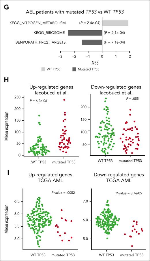 Downregulation of known TP53 target genes in NFIA-ETO2–expressing TP53R248Q/+ EBs. (A) PCA of gene expression signatures of WT or TP53R248Q/+ EBs expressing NFIA-ETO2 (WT, red; and TP53R248Q/+, blue) grown in MM (dot) or 24 hours in DM (triangle). Each point represents one sample, colored and shaped based on its TP53 status (WT or TP53R248Q/+) and the medium in which the cells were cultured (MM vs DM), respectively. (B) Volcano plot showing DEGs in NFIA-ETO2–expressing WT- vs TP53R248Q/+ EBs grown in MM. Dysregulated genes are colored in red (FDR <0.05). (C) Volcano plot showing DEGs in NFIA-ETO2–expressing WT- vs TP53R248Q/+ EBs grown in DM for 24h. Dysregulated genes are colored in red (FDR <0.05). (D) Selected positive and negative GSEA enrichment scores of DEGs obtained in NFIA-ETO2–expressing TP53R248Q/+ EBs when compared with NFIA-ETO2–expressing WT EBs cultured in DM (p-adj <0.1). (E) Profile plots representing ATAC-seq signals from WT and TP53R248Q/+ NFIA-ETO2–expressing EBs. Profile-plots were focused on peaks centers with ±5 kb. The heatmap represents the hierarchical clustering of ATAC-seq signals, performed with WT and TP53R248Q/+ NFIA-ETO2–expressing EBs. Heatmaps were also focused on peak centers with ±5 kb. (F) BART-predicted transcription factors that most likely suppress the downregulated genes in TP53R248Q/+ NFIA-ETO2–expressing EBs. (G) Selected positive and negative GSEA enrichment scores of DEGs of patients with AEL with TP53 mutations vs patients with AEL without TP53 mutations (padj <0.05). Data from Iacobucci et al.8 (H) Mean expression (count per million) of DEG-up and DEG-down in patients with AEL with (red dots) or without (green dots) TP53 mutations. DEG-up and DEG-down are the gene signatures comprising significantly upregulated (left) and downregulated (right) found to be differentially expressed in NFIA-ETO2–expressing TP53R248Q/+ EBs. Shown are AEL RNA-seq samples from Iacobucci et al.8 (I) Relative mean expression of DEG-up and DEG-down in patients with AML with (red dots) or without (green dots) TP53 mutations. DEG-up and DEG-down are the gene signatures comprising significantly upregulated (left) and downregulated (right) found to be differentially expressed in NFIA-ETO2–expressing TP53R248Q/+ EBs. Shown are AML microarray samples from the TCGA project. BART, binding analysis for regulation of transcription,
