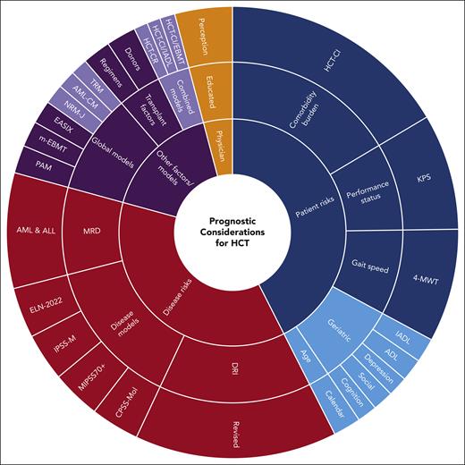Transplantation prognostic pie chart. Schematic demonstration of different components of actuarial prognostic assessment before allogeneic HCT. Red indicates disease-specific risk models/factors, blue indicates patient-specific risk models/factors, purple indicates other models/factors, and orange indicates the physician’s perception. Solid colors indicate validated and clinically important tools/factors that should be used frequently in the clinic for prognostic assessment; faded colors indicate academically interesting but clinically less used tools/factors, some of which require further future study to further enhance interest such as geriatric assessment.