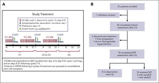 Study treatment schema and flowchart. (A) The study schema. Treatment consisted of standard dose CHOP given on day 1 of each cycle for 6 cycles. Oral azacitidine (CC-486) at 300 mg daily was administered for 7 days before cycle 1 of CHOP, and for 14 days before CHOP cycles 2 to 6. Growth factor such as pegfilgrastim was mandatory after CHOP. (B) The study flowchart. Of the 21 patients enrolled, 20 completed 3 cycles of study treatment, and 18 completed 6 cycles. Ten patients received consolidative SCT. EOT, end of treatment.