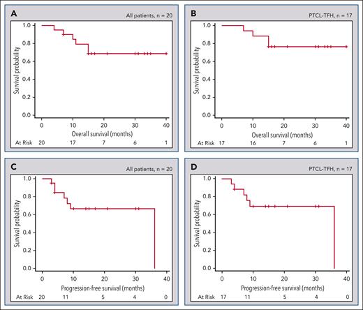 Kaplan-Meier survival curves. (A-B) OS for all patients (A) and PTCL-TFH subset (B). (C-D) PFS for all patients (C) and PTCL-TFH subset (D).