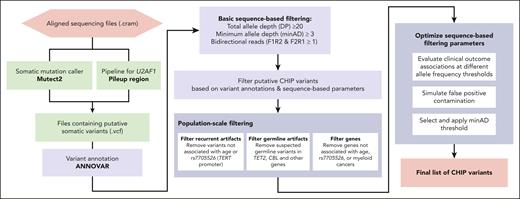 Schematic of CHIP variant ascertainment workflow. Putative somatic mutations are first identified using a somatic mutation caller and annotated for gene- and protein-level changes. Variants are then filtered based on an initial, liberal set of parameters and filtered based on gene-specific CHIP variant rules. In some genes, all loss-of-function mutations are considered putative CHIP variants, whereas in other genes, only specific missense mutations are included. Leveraging available large-scale sequencing data, we apply 3 filters to identify artifactual genes and variants. We then optimize the sequencing-based filtering parameters, yielding a final CHIP mutation call set.