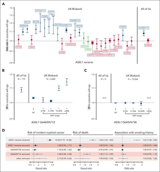 Verifying the association of common putative ASXL1 variants with age can help distinguish true variants from recurrent artifacts. (A) Association of all ASXL1 variants present ≥20 times in the UKB exome data set and ≥15 times in the All of Us whole genome data set. Variants not associated with age- or a CHIP-associated TERT promoter variant (rs7705526) are colored in red. Variants associated with rs7705526 only are colored in blue. (B-C) Association of ASXL1 G646Wfs∗12 and G645Vfs∗58 with age across VAF strata identifies specific large VAF subsets of G646Wfs∗12 as somatic mutations, whereas G645Vfs∗58 appears to be an artifact of exome sequencing that is not present in All of Us. (D) There is a significant association of ASXL1 variants passing filtering with myeloid cancer, death, and smoking, but a minimal association with variants that were removed, supporting that these removed variants are artifacts.