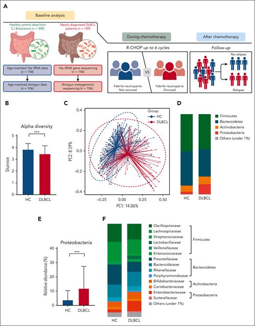 Comparison of gut microbiota between patients with DLBCL and healthy controls. (A) Description of the study. (B-C) Comparisons of alpha diversity using the Shannon index, and beta diversity using the Bray-Curtis index between patients with DLBCL and healthy controls. (D-E) Comparisons of the relative abundance at the phylum level between patients with DLBCL and healthy controls. (F-G) Comparisons of the relative abundance at the family level between patients with DLBCL and healthy controls. Asterisks indicate significant differences identified using the 2-tailed Mann-Whitney U test; ∗P < .05; ∗∗P < .01; ∗∗∗P < .001. HC, healthy controls; ns, not significant.