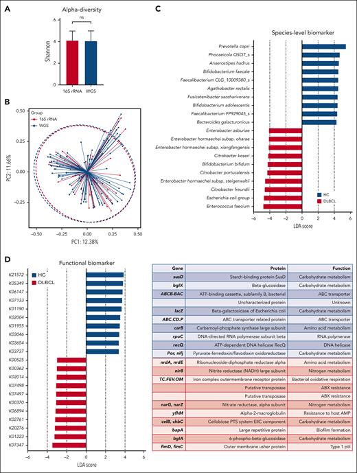 Functional- and species-level taxonomic analysis. (A-B) Comparisons of alpha diversity using the Shannon index, and beta diversity using the Bray-Curtis index between the data for 16S rRNA (n = 158) and WGS sequencing (n = 106). (C) LEfSe analysis of species-level taxonomic biomarkers for DLBCL. (D) Findings of the community functional analysis in patients with DLBCL. The top 10 features with the highest linear discriminant analysis scores in each group are shown. (E-F) Machine learning analysis to examine the applicability of microbiome data to the species-level taxonomic profile and the gene-level functional profile in patients with DLBCL and in healthy controls. AMP, antimicrobial peptide; HC, healthy controls.