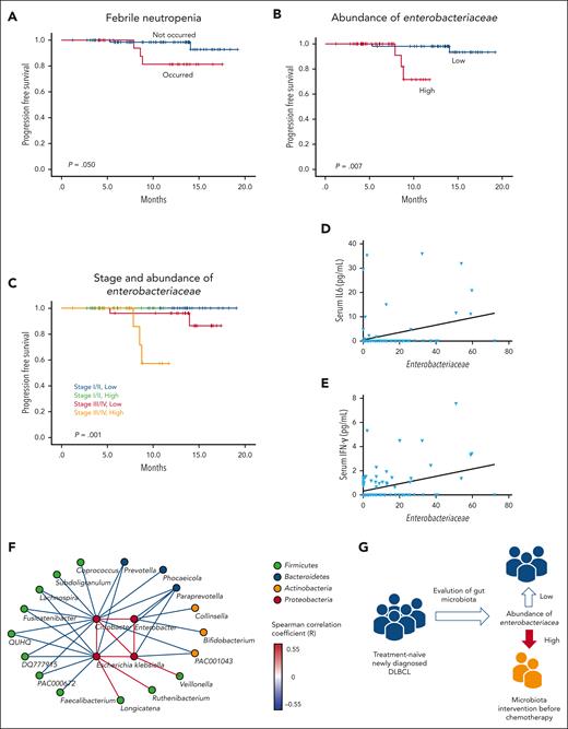 Survival analysis of DLBCL patients. (A-B) Comparison of PFS based on the presence or absence of febrile neutropenia and the abundance of Enterobacteriaceae. (C) Comparison of PFS based on stage and abundance of Enterobacteriaceae. (D-E) Associations of the abundance of Enterobacteriaceae with the serum levels of IL-6 and IFN-γ. (F) Network analysis of genera belonging to Enterobacteriaceae and significantly correlated genera. The color of the nodes indicates the phylum to which they belong, and the color of the edge indicates the Spearman correlation coefficient between nodes. (G) A suggested adjuvant prophylactic treatment plan based on the microbiome for preventing adverse events in patients with DLBCL.