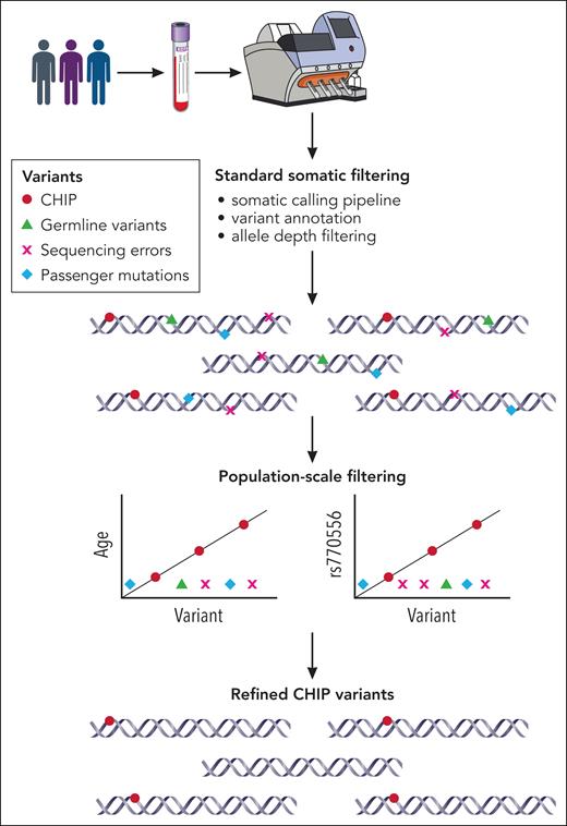 A stepwise approach to CHIP variant identification. The multistep process of CHIP variant filtering using standard somatic filtering and novel population-based filter. Because CHIP is strongly associated with age and TERT promoter polymorphism (rs770556), most sequencing errors, germ line variants, and passenger mutations are excluded as they lack the associations with age and TERT polymorphism. Professional illustration by Patrick Lane, ScEYEnce Studios.