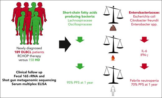 Study outline and results. Fecal 16S rRNA, shotgun metagenomic sequencing, and serum multiplex enzyme-linked immunosorbent assay (ELISA) were performed in a large cohort of newly diagnosed patients with DLBCL who were treated with RCHOP and in healthy individuals. Patients with DLBCL exhibit a profound dysbiosis, marked by high Enterobacteriaceae overrepresentation relative to short-chain fatty acid–producing bacteria. High relative abundance of Enterobacteriaceae in patients with DLBCL was associated with higher interleukin 6 (IL-6) and interferon gamma (IFN-γ) plasmatic concentrations, increased risk of febrile neutropenia, and lower PFS, compared with patients with no dominance of Enterobacteriaceae family members.