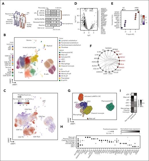 Study design and transcriptional profiling of immune and neoplastic cells in the cHL microenvironment. (A) Outline of the scRNA-seq data set. Two data sets (Aoki et al10 and “this study”/WSI data set) were merged, and contain data from lymph nodes unaffected by lymphoma (reactive lymph nodes and nondiseased lymph nodes from deceased donors) highlighted in blue, and lymphoma-infiltrated lymph nodes highlighted in red. The numbers of cells are given in dark gray, and the number of donors in light gray. (B) UMAP plot of 243 753 cells from an integrated scRNA-seq data set, colored by cell type and organized by compartment (T cells, B cells, innate lymphocytes, myeloid, and stroma). (C) UMAP plot of 22 573 graph neighborhoods, colored by the differential abundance (log fold change) in lymphoma-affected or nonlymphoma-affected (deceased-donor lymph nodes or reactive lymph node) samples. Dot size is proportional to neighborhood size (median neighborhood size = 50 cells). (D) Volcano plot showing differentially expressed genes between microdissected GCs and HRSCs. Significant genes for HRSCs are indicated (|LFC| > 3; adjusted P value <.01). (E) Heatmap showing transcription factor (TF) regulon normalized enrichment scores for GCs vs HRSCs calculated with DoRothEA. (F) Graph indicating predicted interactions between genes (red, transcription factors; gray, other genes) differentially expressed in HRSCs. Edges drawn where an interaction is documented by OmniPath. (G) UMAP plot of 2727 myeloid cells colored by cell type. (H) Heatmap showing mean normalized expression levels (color) and fraction of cells expressing (dot size) markers of myeloid cell subsets. (I) Heatmap showing the proportion of each cell type derived from lymphoma and nonlymphoma samples.