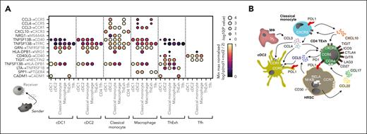 Reciprocal mononuclear phagocyte chemokine signaling shapes the immunosuppressive microenvironment in cHL. (A) Heatmap of reciprocal ligand-receptor interactions between myeloid subsets and T cells implicated in the cHL TME. Point size indicates permutation P value (CellPhoneDB). Color indicates the min-max normalized aggregate mean expression level of ligand and receptor. (B) Model for intercellular interactions between MNP, dysfunctional T cells, and HRSCs in the cHL TME. HRSCs produce CCL22, CCL17, and CCL5 downstream of NF-κB activity, orchestrating T-cell recruitment via indicated ligand-receptor interactions. CCL3, CCL4, and CXCL10 produced by monocytes and macrophages direct positioning of dysfunctional T cells and cDC2s. Widespread inhibitory molecule expression is seen on HRSCs, MNPs, and T cells.