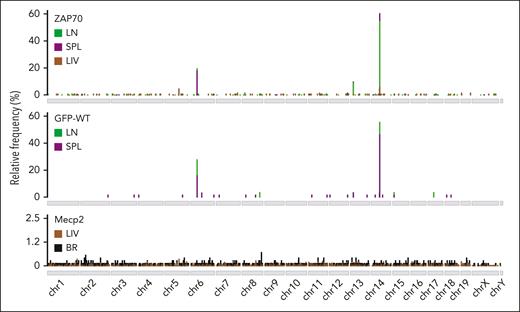 Cluster of AAV ISs within TCR genes. Genome-wide distribution of AAV ISs in the different tissues of ZAP70-deficient (ZAP70), WT mice, and Mecp2-deficient mice (Mecp2) intrathymically injected with AAV: LN, SPL, LIV, and BR are shown as indicated. Most of AAV integrations in the LN and SPL data sets from intrathymically injected mice were detected at chr6, 13, and 14.