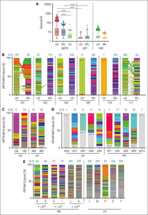 Absolute and relative abundance of AAV integration sites. (A) Cellular genomes observed for each IS (Genomes/IS) in the different IS data sets are presented as indicated. (B-E) Stacked bar plots showing the relative abundance of AAV IS retrieved in ZAP70-treated mice (B,C), in WT mice intrathymically injected with a GFP-expressing AAV (D), and in Mecp2-deficient mice (E). In each column, every integration is represented by a different color whose height is proportional to the number of genomes retrieved for that specific IS (percentage of IS abundance, y-axis). The number of unique IS identified in each mouse is indicated in blue above each column. Ribbons connect AAV ISs tracked between different tissues of the same mouse. In A and B, statistical analyses were performed by a two-tailed Mann-Whitney test. ∗∗∗∗P < .0001.