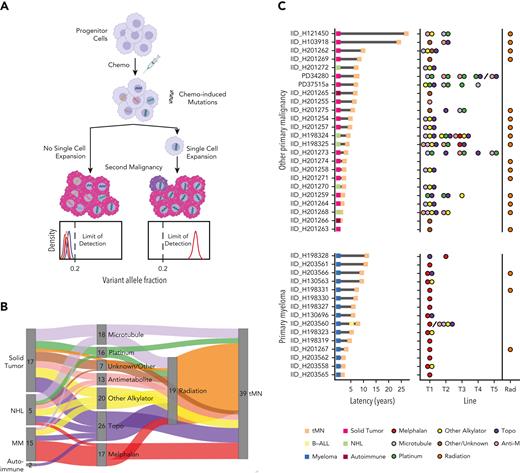 Chemotherapy-induced mutagenesis and therapy-related myeloid neoplasm WGS cohort. (A) Cartoon summarizing that a single-cell expansion model is required to measure chemotherapy-associated mutational signatures in bulk WGS data. Populations that have already expanded sufficiently will develop private chemotherapy-induced mutations within multiple branching clones. With their expansion in the absence of single-cell expansion, subclonal mutations in each branch have frequencies below the bulk WGS limits of detection. (B) Sankey plot showing the therapeutic relationship between primary diagnosis and tMN. The therapy node cumulatively counts the patient’s exposure to each agent. (C) tMN for which WGS was performed with latency between the primary tumor and the second malignancy (left) and specific chemotherapy exposure (right). Forty tMN from 39 patients visually separated by the primary malignancy diagnosis are included. The line of therapy (ie, the order of treatment) is plotted on the x-axis. The backslashes separate sequential samples from the same patient. Anti-M, antimetabolite.