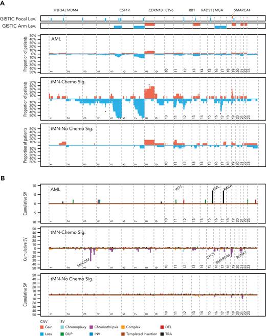 Copy number and SV landscapes in therapy-related myeloid neoplasms. (A) Cumulative copy number profile for all de novo samples (n = 316; 18 genomes from TCGA, 298 exomes from Beat AML) and 39 tMN genomes. tMN genomes are split into chemotherapy signature-positive (n = 17) and -negative (n = 22) cases. GISTIC peaks and CNA arm-level events enriched in tMN with chemotherapy signatures (P < .05; FDR < 0.1; Fisher test) are annotated with an asterisk for significance compared with: tMN without chemotherapy signatures. (B) SV landscape across de novo AML genomes from TCGA (n = 18) and tMN genomes with and without a chemotherapy-associated mutational signature. Breakpoints are binned into 1 megabase segments. Simple events point upward from the x-axis and complex events (eg, chromothripsis) point downward. (C) Plot of cumulative copy number changes and SV chromothriptic breakpoints responsible for focal multigain events in SMARCA4. (D) Growth curves of SMARCA4 transfected Ba/F3 cells versus cells transfected with the vector in the interleukin-3 cytokine independence assay. ****P < .0001.