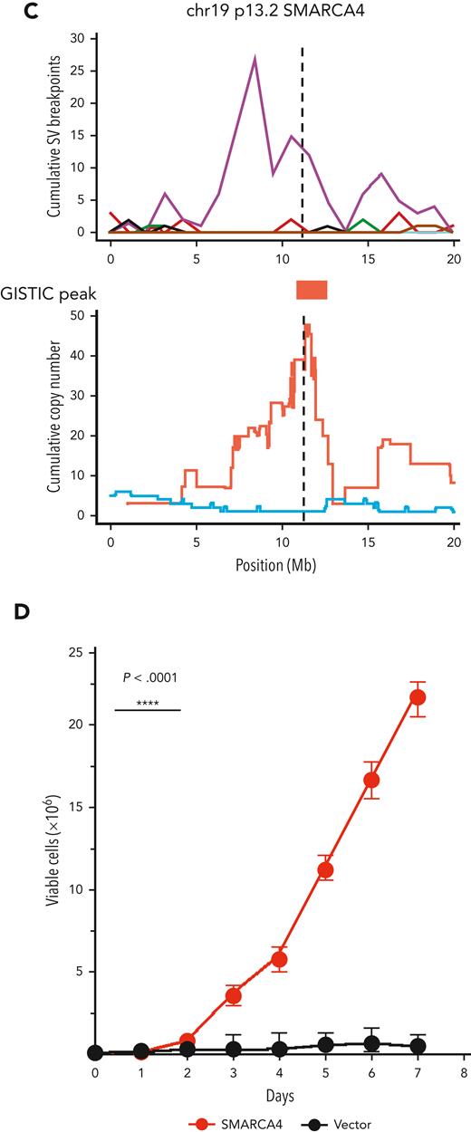 Copy number and SV landscapes in therapy-related myeloid neoplasms. (A) Cumulative copy number profile for all de novo samples (n = 316; 18 genomes from TCGA, 298 exomes from Beat AML) and 39 tMN genomes. tMN genomes are split into chemotherapy signature-positive (n = 17) and -negative (n = 22) cases. GISTIC peaks and CNA arm-level events enriched in tMN with chemotherapy signatures (P < .05; FDR < 0.1; Fisher test) are annotated with an asterisk for significance compared with: tMN without chemotherapy signatures. (B) SV landscape across de novo AML genomes from TCGA (n = 18) and tMN genomes with and without a chemotherapy-associated mutational signature. Breakpoints are binned into 1 megabase segments. Simple events point upward from the x-axis and complex events (eg, chromothripsis) point downward. (C) Plot of cumulative copy number changes and SV chromothriptic breakpoints responsible for focal multigain events in SMARCA4. (D) Growth curves of SMARCA4 transfected Ba/F3 cells versus cells transfected with the vector in the interleukin-3 cytokine independence assay. ****P < .0001.