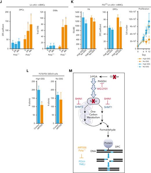 POLθ is required to resolve DPCs caused by formaldehyde generated via serine/1C cycle metabolism in OTKs-positive hematological malignancies. (A) Mean ± SD of DPCs in the indicated cell lines; ∗P < .05 using t test. (B) Mean ± SD of DPCs in: (left) 32Dcl3 parental cells (P) and cells expressing FLT3(ITD), JAK2(V617F), and BCR-ABL1, and (right) human Lin-CD34+ primary cells from leukemias expressing FLT3(ITD), JAK2(V617F), and BCR-ABL1 and from healthy donors. ∗P < .05 when compared with P/N using t test. (C) Mean formaldehyde (FA) levels ± SD in 32Dcl3 parental cells (P) and cells expressing FLT3(ITD), JAK2(V617F), and BCR-ABL1. ∗P < .05 when compared with P using t test. (D) Mean ± SD of FA levels in FLT3(ITD) 32Dcl3 cells cultured in standard medium (Reg) and in medium without glucose, serine, and glycine (no GSG); ∗P < .05 using t test when compared with corresponding Reg. (E) Mean ± SD of FA levels, DPCs, and % of γ-H2AX–positive cells in FLT3(ITD) 32Dcl3 cells cultured in glucose + 5× serine + 5× glycine high (high GSG) medium and in medium without glucose, serine, and glycine (no GSG). ∗P < .05 using t test. (F) Mean ± SD of FA levels and DPCs in FLT3(ITD) 32Dcl3 cells cultured in glucose-supplemented serine + glycine–free medium and treated or not with WQ-2101; ∗P < .05 using t test. (G) Mean ± SD of FA levels and DPCs from 3 experiments in FLT3(ITD) 32Dcl3 cells cultured in standard medium and treated or not with SHIN1. ∗P < .05 using t test. (H) Lin-cKit+ mBMCs from Polq+/+ and Polq−/− mice (blue and orange, respectively) were cultured in high GSG and/or no GSG medium. Results represent mean ± SD of FA levels and DPCs and proliferation rate; ∗P < .05 when compared with corresponding high GSG using t test. (I) Clonogenic activity of Lin-cKit+ BMCs from Polq+/+ and Polq−/− mice treated with the indicated concentrations of formaldehyde for 4 hours after plating in methylcellulose. Results represent the mean percentage of colonies ± SD when compared with untreated counterparts. (J) Lin-cKit+ mBMCs from Polq+/+ and Polq−/− mice were untreated (0) and treated with 400 nM formaldehyde for 24 and 48 hours. Results represent mean ± SD of DPCs and tail DNA percentage from the neutral comet assay. ∗P ≤ .001 when compared with Polq+/+ counterpart using t test. (K) Lin-cKit+ mBMCs from Flt3ITD;Polq−/− (orange) and Flt3ITD;Polq+/+ (blue) mice were cultured in high GSG and/or no GSG medium. Results represent mean ± SD of FA levels and DPCs and proliferation rate; ∗P < .05 when compared with corresponding high GSG using t test. (L) Sensitivity of FLT3(ITD) 32Dcl3 cells to 25 μM ART558 in high GSG and no GSG medium. Results represent the mean percentage of colonies ± SD when compared with untreated counterparts; ∗P < .05 using t test. (M) A scheme illustrating functional pathway where serine/1C cycle–produced formaldehyde induces DPCs, which are likely repaired by POLθ-mediated TMEJ. SD, standard deviation.