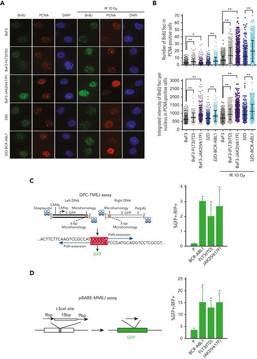 OTKs-positive cells stimulate DNA resection and TMEJ/MMEJ. (A-B) BaF3 and 32D parental cells and the cells expressing JAK2(V617F), FLT3(ITD), or BCR-ABL1 were mock-treated or irradiated (10 Gy). (A) Immunofluorescence against BrdU and PCNA is shown. (B) The data show the mean ± SD; ∗P ≤ .05, ∗∗P ≤ .0001 using Mann-Whitney U test. (C) DPC-TMEJ assay and (D) pBABE-MMEJ assay. DPC-TMEJ or pBABE-MMEJ reporters and DsRed plasmid were transiently transfected in to parental 32Dcl3 cells (P) and cells expressing FLT3(ITD), JAK2(V617F), and BCR-ABL1 followed by flow cytometry. Results represent the mean percentage of GFP+ cells in DsRed+ population ± SD. ∗P < .05 when compared with P using t test. BrdU, 5-bromo-2′-deoxyuridine; SD, standard deviation.