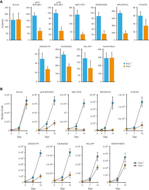POLθ promoted leukemogenesis of HR/D-NHEJ–proficient and HR/D-NHEJ–deficient cells. (A) Clonogenic activity of Lin-cKit+Polq−/− and Polq+/+ GFP+ bone marrow cells expressing GFP (normal) and the indicated oncogenes. Results represent mean ± SD number of colonies; ∗P < .05 when compared with Polq+/+ counterparts using t test. (B) Proliferation of Lin-cKit+ Polq−/− and Polq+/+ bone marrow cells expressing GFP (normal) and the indicated oncogenes. Results represent mean ± SD number of cells; ∗P < .05 using t test. (C) DSBs were assessed by neutral comet assay in Polq+/+ (blue bars) and Polq−/− (orange bars) Lin- mBMCs expressing GFP (normal) and the indicated oncogenes. Results represent mean olive tail moment ± SD; ∗P < .05 when compared with Polq+/+ counterparts using t test. (D) Mean ± SD number of colonies from Lin- bone marrow cells harvested from Flt3ITD;Polq−/− (n=2) and Flt3ITD;Polq+/+ (n=4) mice; ∗P < .05 when compared with Polq+/+ counterparts using t test. (E) Engraftment of BCR-ABL1–positive Polq+/+ and Polq−/− cells in sublethally irradiated syngeneic mice. Results represent the mean percentage ± SD of GFP+ cells detected 4 weeks after transplantation in 10 mice per group. ∗P < .05 using t test. SD, standard deviation.