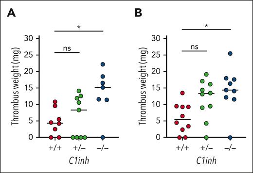 C1INH deficiency enhances VT in mice. VT was assessed in C1inh+/+, C1inh+/−, and C1inh−/− mice using the IVC stenosis model. Thrombus weight was assessed at (A) 24 hours and (B) 48 hours after IVC stenosis. Data are represented as individual values with median and analyzed by Kruskal-Wallis with post hoc Dunn’s. ∗P < .05.