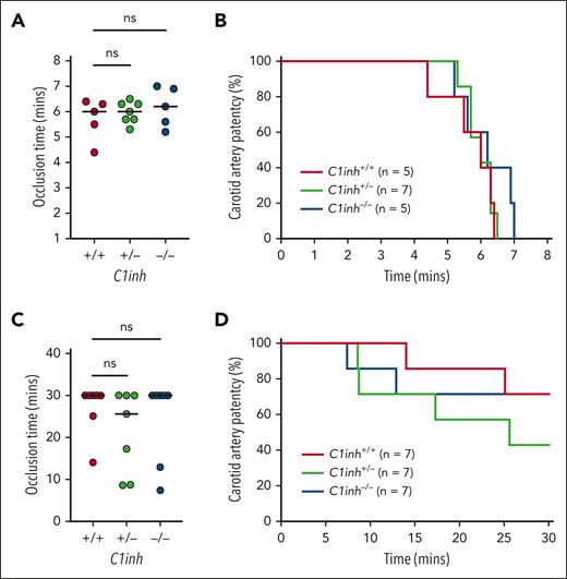 C1INH deficiency does not enhance arterial thrombosis in mice. Arterial thrombosis was assessed in C1inh+/+, C1inh+/−, and C1inh−/− mice using the carotid artery FeCl3 model under conditions resulting in either severe or mild injury. In the severe model induced with application of 8% FeCl3 for 3 minutes, (A) occlusion time and (B) carotid artery patency were evaluated. Similarly, in the mild model induced with application of 2.5% FeCl3 for 5 minutes, (C) occlusion time and (D) carotid artery patency were evaluated. Data are represented as individual values with median and analyzed using Kruskal-Wallis with post hoc Dunn or log-rank tests.