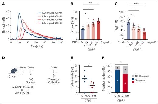 Human purified C1INH dose dependently reduces WB TG and normalizes venous thrombus formation in C1INH-deficient mice. Purified human C1INH was added to WB from C1inh−/− mice at increasing concentrations ex vivo and the effect on silica-initiated WB TG compared with vehicle control. (A) Representative thrombin silica-initiated WB TG curves were plotted and (B) TG lag time and (C) peak TG quantified. Data are represented as individual values with mean ± standard error of the mean and analyzed by one-way ANOVA with post hoc Bonferroni. (D) C1inh−/− mice were administered purified human C1INH or vehicle control and VT induced using the IVC stenosis model. Schematic of C1INH VT rescue experiment. (E) Thrombus weight and (F) thrombus incidence was assessed 24 hours after induction. Thrombus weight data are represented as individual values with median and analyzed using Kruskal-Wallis with post hoc Dunn’s, and thrombus incidence data are analyzed using Fisher exact test. ∗P < .05, ∗∗P < .01, ∗∗∗P < .001, ∗∗∗∗P < .0001. ANOVA, analysis of variance.