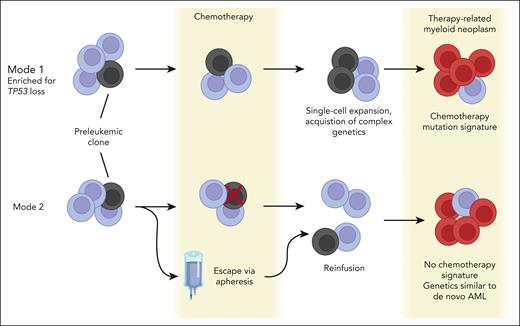 Two modes of therapy-related myeloid neoplasm (tMN) evolution. Figure created with Biorender.com. AML, acute myeloid leukemia.