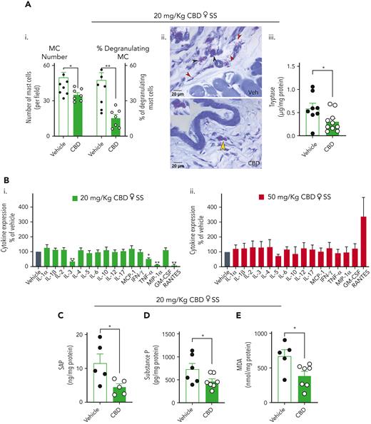 CBD attenuates MC activation, inflammation, neuroinflammation, and oxidative stress in sickle mice. Female HbSS-BERK sickle mice were treated daily for 9 days with vehicle (5% DMSO, 5% Tween 20, in sterile phosphate-buffered saline) or pure CBD (from Cayman) intraperitoneally at 20 mg/kg per day except when indicated for 50 mg/kg per day. After 9 days of treatment, mice were humanely euthanized, and plasma and punch biopsies of dorsal skin were collected for analysis. (A) MC activation in the skin biopsies: (i) the number of total MCs per field and percent of degranulating MCs; (ii) toluidine blue–stained sections of skin showing intact and degranulating MCs. Key features observed in representative images of dorsal skin from female sickle mice (ii) include degranulating MCs (black arrows), MC granules (red arrows), intact MCs (yellow arrow), and (iii) tryptase released from the skin after 24-hour incubation. (B) Cytokines released from the skin biopsies of CBD-treated mice in culture medium are expressed as percent of vehicle-treated mice for (i) 20 mg/kg per day CBD (green bars) and (ii) 50 mg/kg per day CBD (red bars). (C) SAP expression in the plasma of vehicle and CBD-treated mice. (D) Substance P, marker of neuroinflammation in the skin releasate after 24-hour incubation. (E) MDA, a measure of lipid peroxidation and oxidative stress in the skin releasate after 24-hour incubation. Data are expressed as mean ± SEM. Data analyzed with Mann-Whitney U test. ∗P ≤ .05, ∗∗P < .01. n = 5 to 10 per condition. Age ∼3.5 months. GM-CSF, granulocyte-macrophage colony-stimulating factor; IFN-γ, interferon gamma; MCP-1, monocyte chemoattractant protein 1.