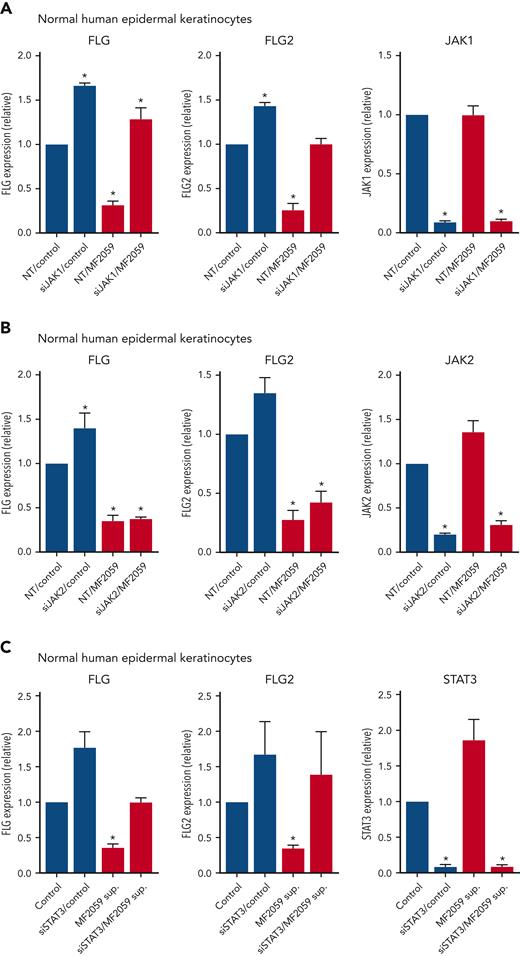 JAK1 and pY-STAT3 knockdown blocks tumor cell–induced repression of FLG and FLG2 in the epidermis. NHEK cells were transfected with siRNA targeting either JAK1, JAK2, or STAT3 or a nontargeting siRNA control. After 48 hours, the samples were cultured for 24 hours with the supernatant from the malignant MF2059 T-cell line. The mRNA expression was analyzed by qPCR using β-actin as a reference gene. Gene expression was given as relative expressions. (A) mRNA expression of FLG, FLG-2, and JAK1 was analyzed following siRNA-mediated knockdown of JAK1 in the presence or absence of supernatant from MF2059. mRNA expression of FLG, FLG2, and JAK2 (B) or STAT3 (C) was analyzed following siRNA-mediated knockdown of JAK2 (B) or STAT3 (C) in the presence or absence of supernatant from MF2059. n = 3, ∗P < .05. NT, nontargeting; sup, supernatant.